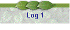 Log 1